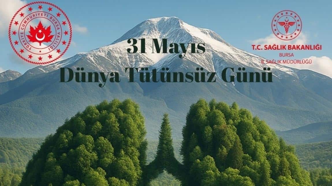 Dünya Sağlık Örgütü tarafından 31 Mayıs Tarihi “Dünya Tütünsüz Günü” Olarak İlan Edildi